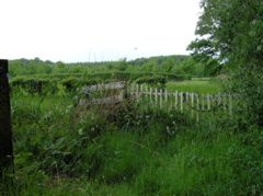 P5210029.JPG