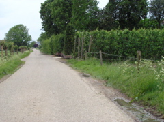 P5210106.JPG