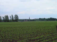 P5210109.JPG
