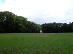 P5210039.JPG