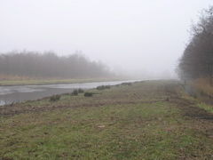 P2050082.JPG