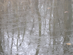 P2050091.JPG