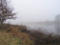 P2050094.JPG