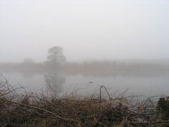 P2050095.JPG