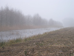 P2050069.JPG