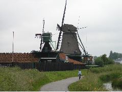 P6050081.JPG
