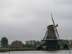 P6050085.JPG