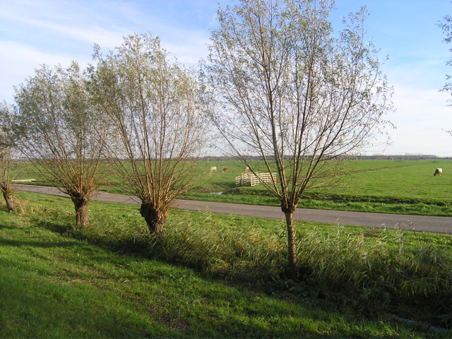 PB060197