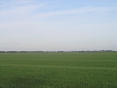PB060184