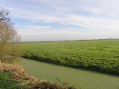 PB060190