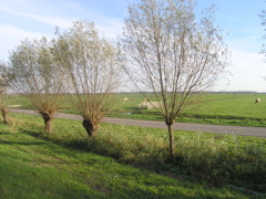 PB060197