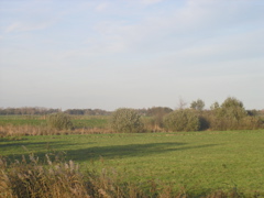 PB060211