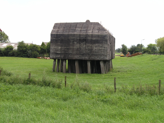 P8070021.JPG