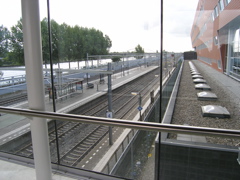 P8070004.JPG