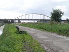 P8070008.JPG