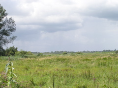 P8070041.JPG
