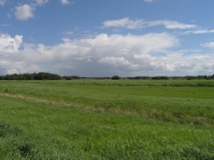 P8070046.JPG