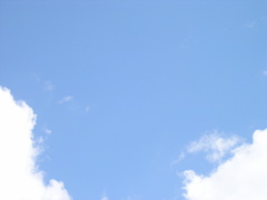 P8070048.JPG