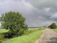 P8070061.JPG