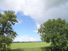 P8070062.JPG