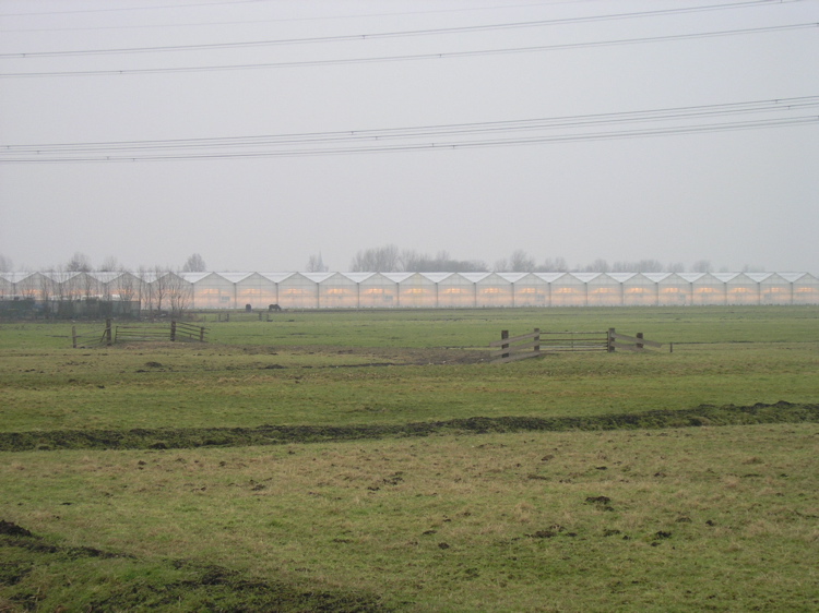 P1080001.JPG