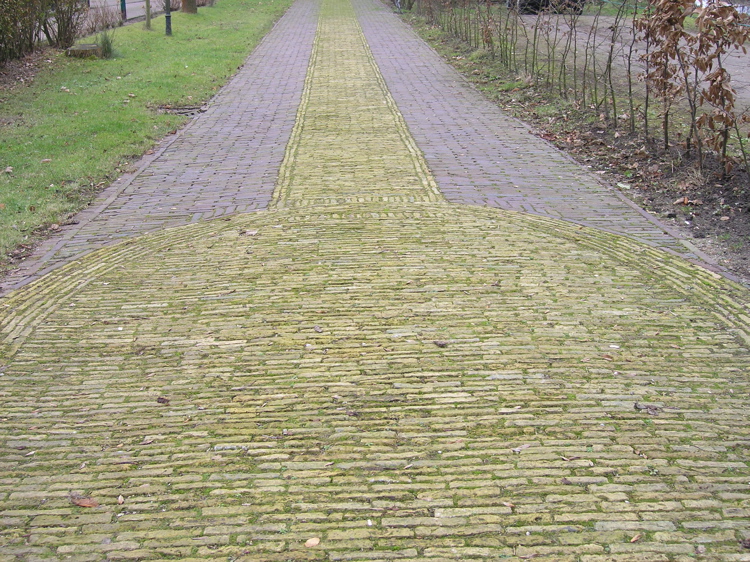 P1080028.JPG