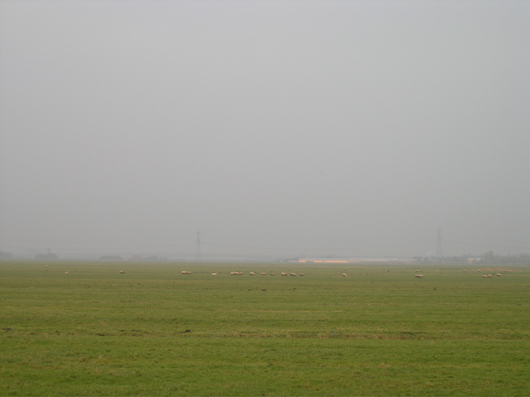 P1080019.JPG