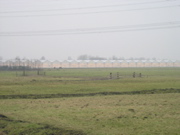 P1080001.JPG