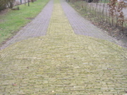 P1080028.JPG