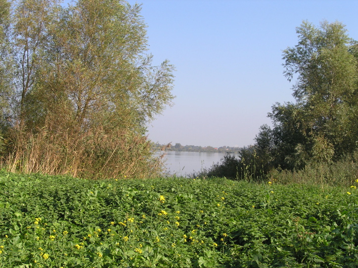 PA070472.JPG