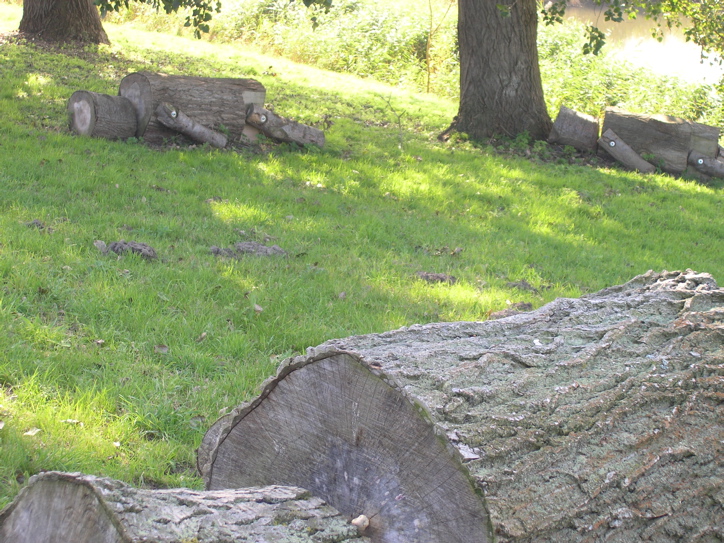 PA070502.JPG