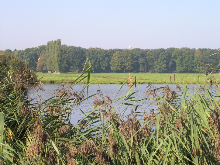 PA070447.JPG