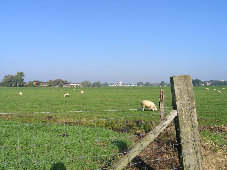 PA070449.JPG