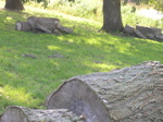 PA070502.JPG