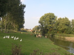 PA070523.JPG