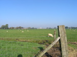 PA070449.JPG