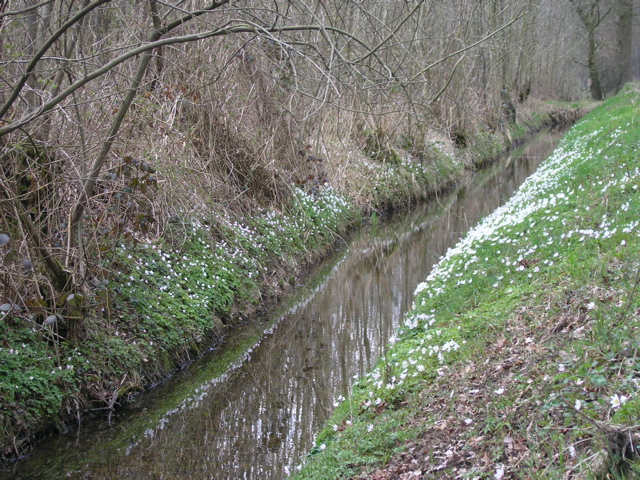 P4090200.JPG