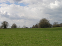 P4090192.JPG