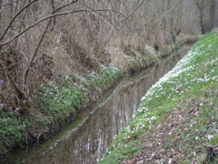 P4090200.JPG