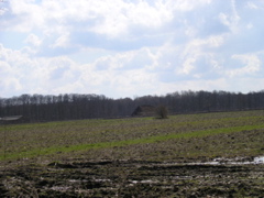P4090203.JPG