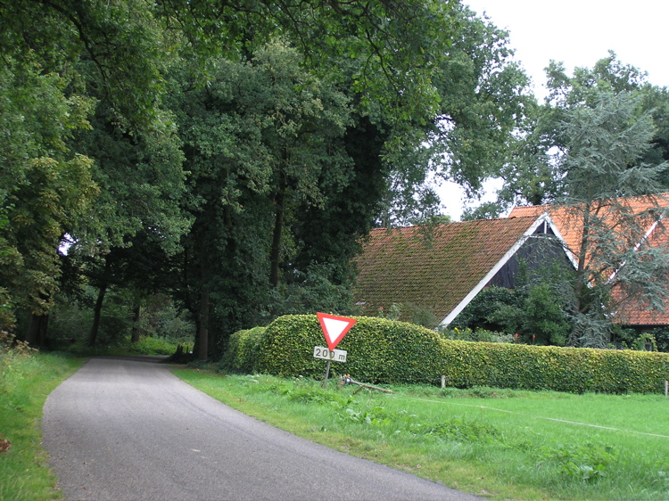 P9090366.JPG