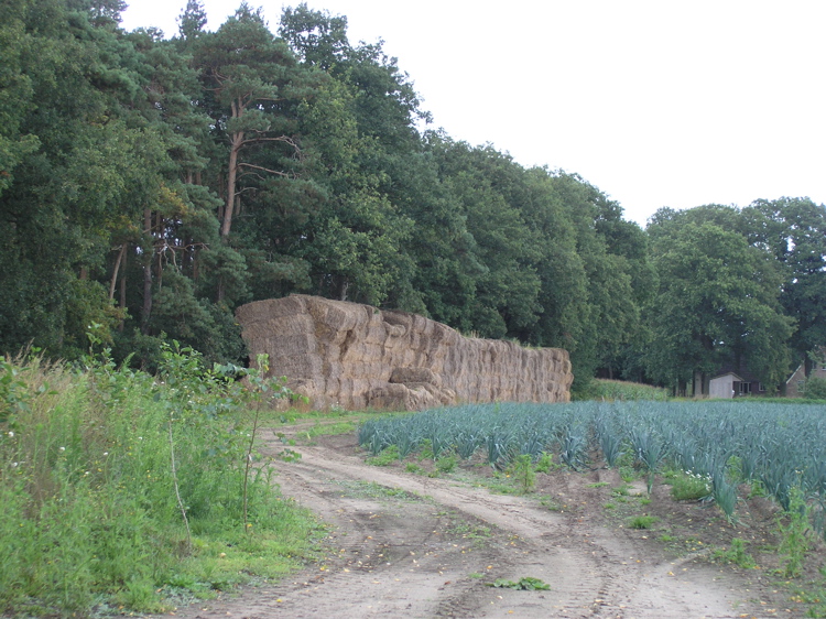 P9090382.JPG