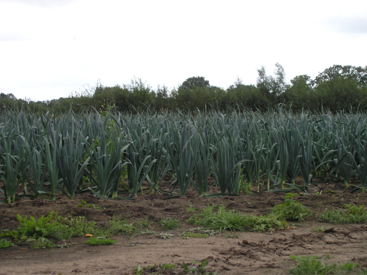 P9090384.JPG
