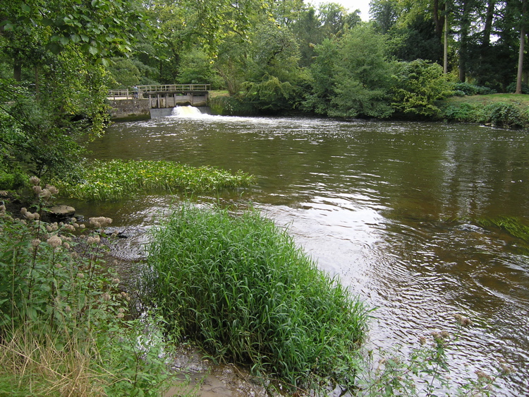 P9090392.JPG