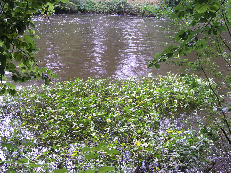 P9090393.JPG