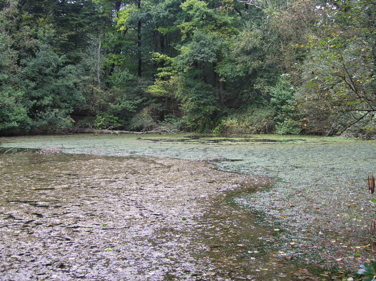 P9080288.JPG