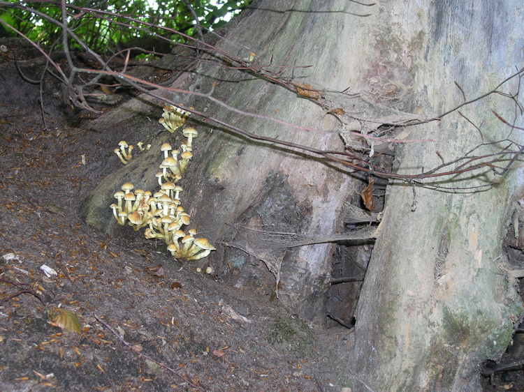 P9080296.JPG