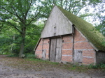 P9080315.JPG
