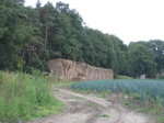 P9090382.JPG