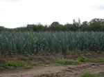 P9090384.JPG